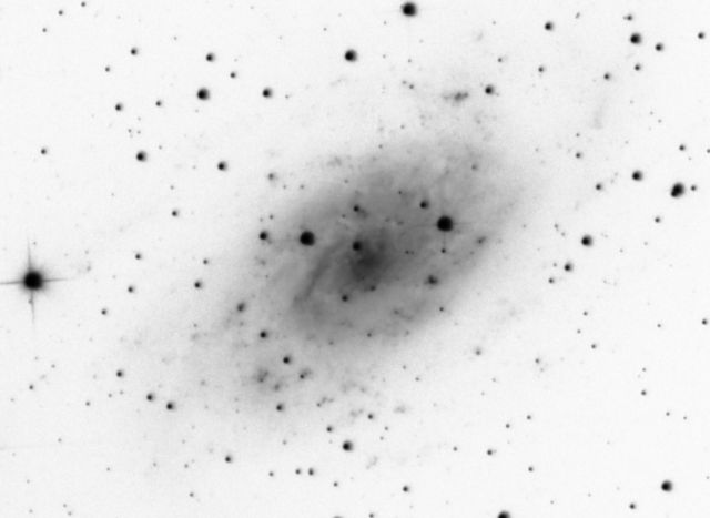 NGC 2403.jpg